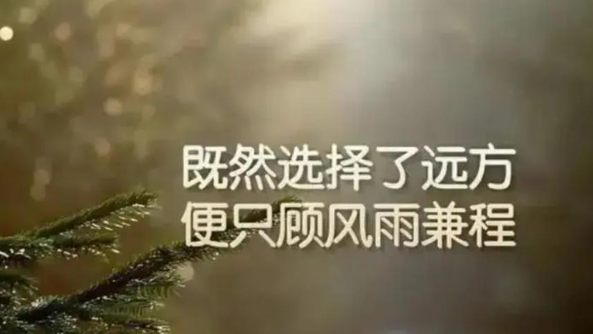 2022年有關(guān)勵(lì)志感悟句子錦集48條