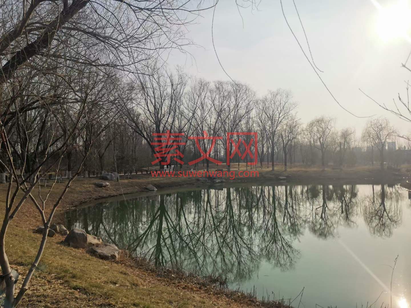從心開始認知自己